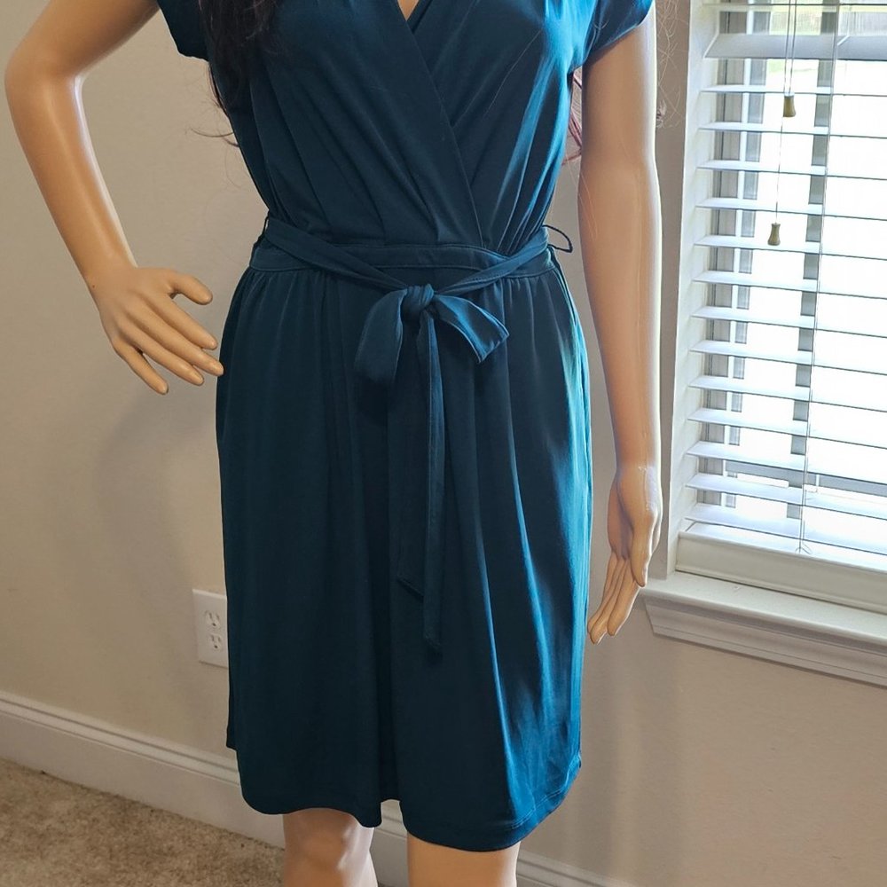 Banana Republic ~ Size S ~ Teal Green Professional Dress